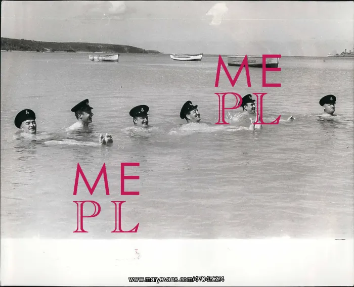 : Swimming - Diving : Swimming - Diving