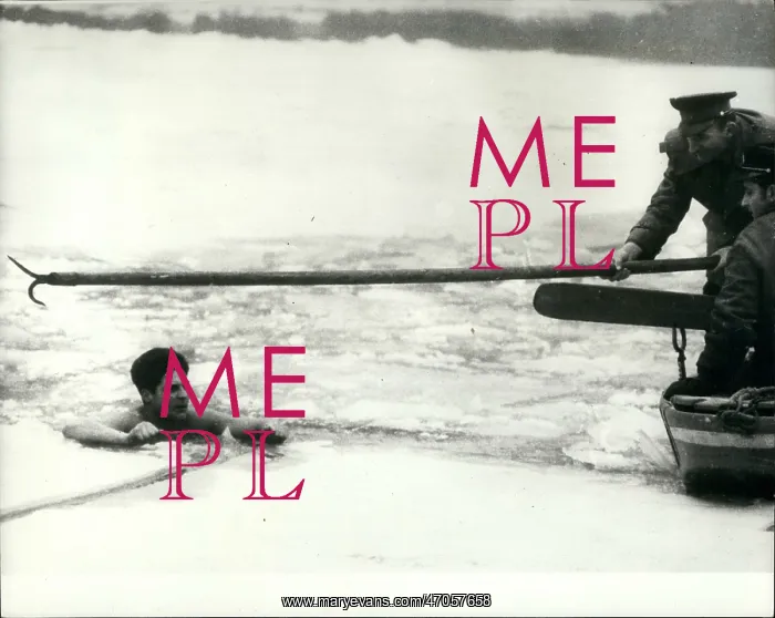 : Swimming - Diving : Swimming - Diving
