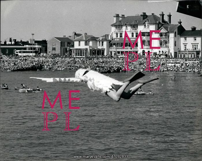  : Swimming - Diving