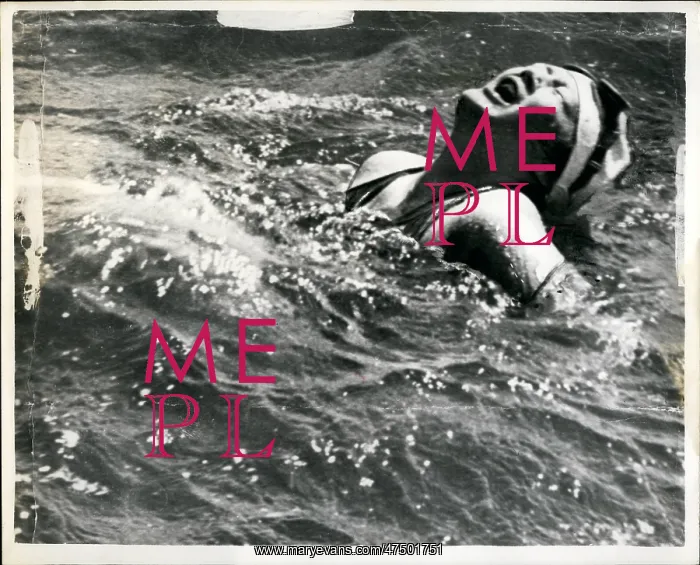 : Swimming - Diving : Swimming - Diving