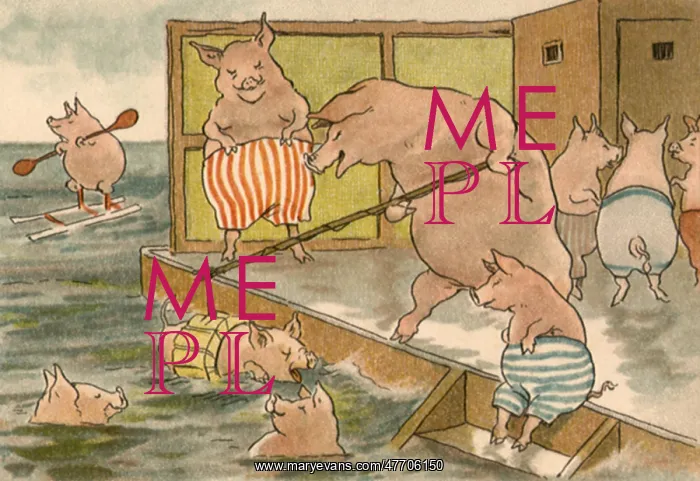  : Swimming Pigs