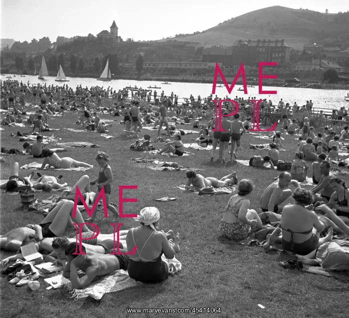: Swimming pool - sunbathing - Vltava : Swimming pool - sunbathing - Vltava