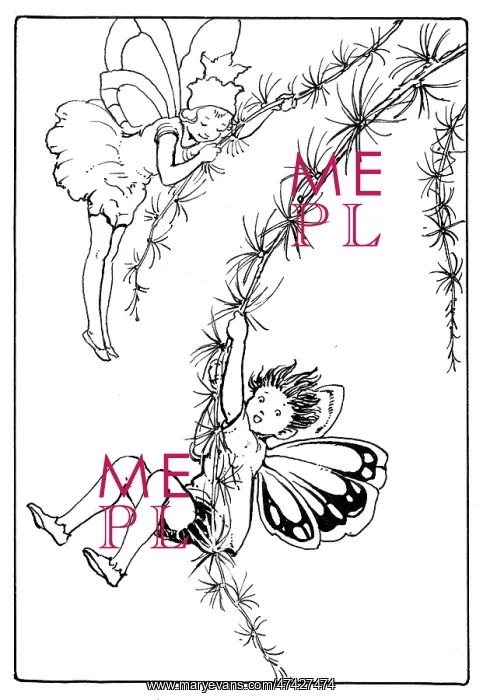 : Two swinger fairies on branches : Two swinger fairies on branches