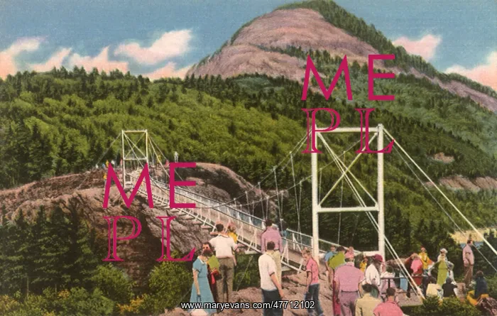 : Swinging Bridge : Swinging Bridge