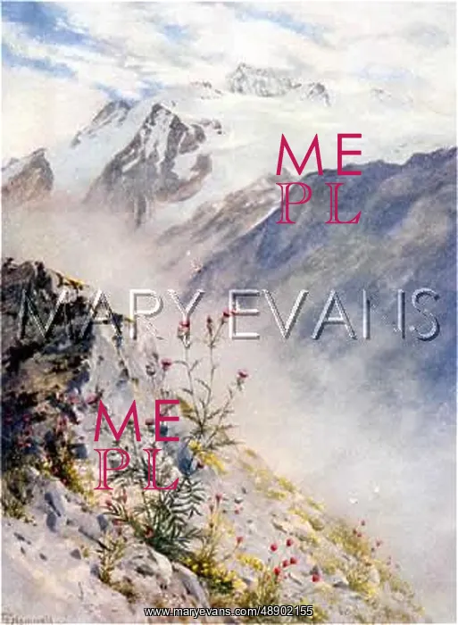 : SWISS ALPS / ARGENTINE : SWISS ALPS / ARGENTINE