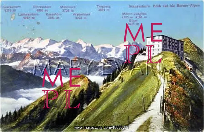 : SWISS ALPS / BERNESE C1910 : SWISS ALPS / BERNESE C1910