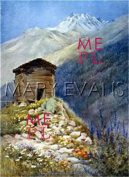 : SWISS ALPS / BOURG PIERRE : SWISS ALPS / BOURG PIERRE