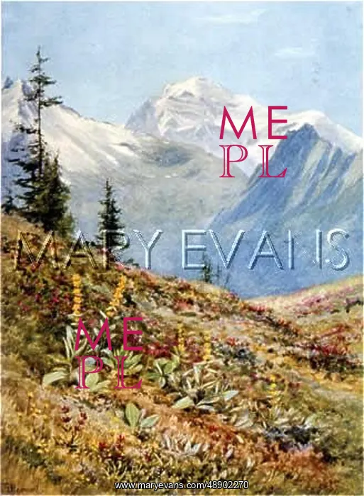 : SWISS ALPS / COL BALME : SWISS ALPS / COL BALME