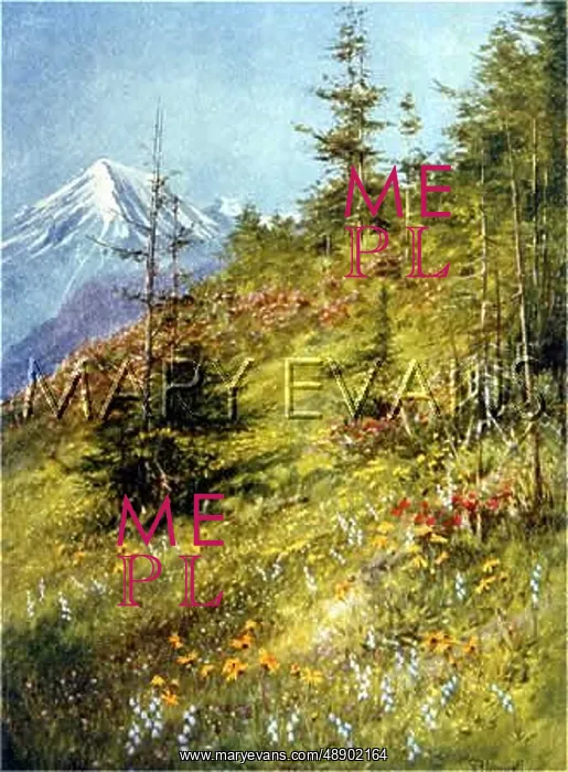 : SWISS ALPS / COL FORCLAZ : SWISS ALPS / COL FORCLAZ