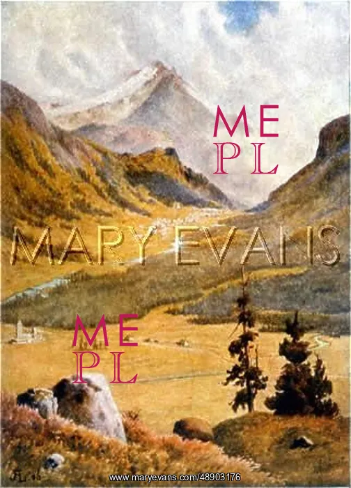 : SWISS ALPS / ENGADINE : SWISS ALPS / ENGADINE