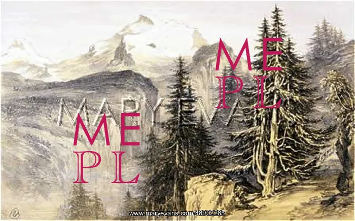  : SWISS ALPS / JUNGFRAU 1850
