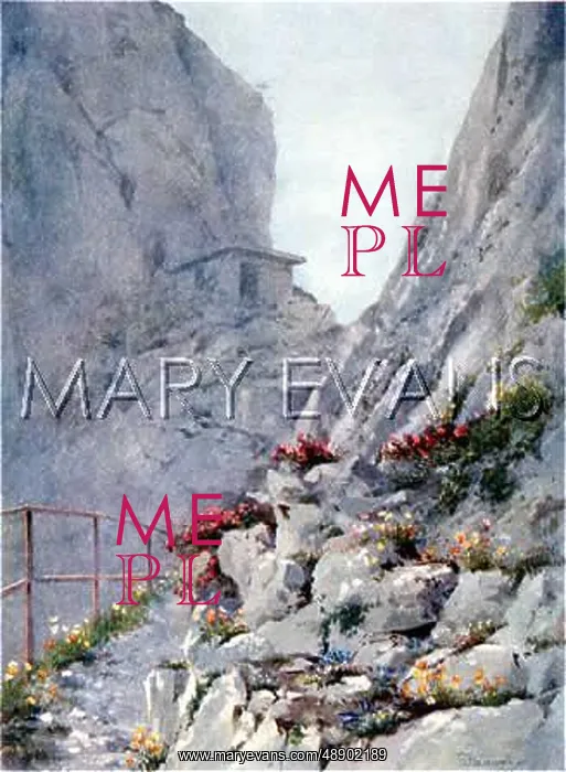 : SWISS ALPS / NAYE 1910 : SWISS ALPS / NAYE 1910