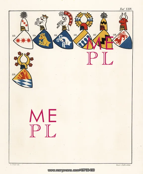 : Swiss coats of arms, c. 1340 : Swiss coats of arms, c. 1340