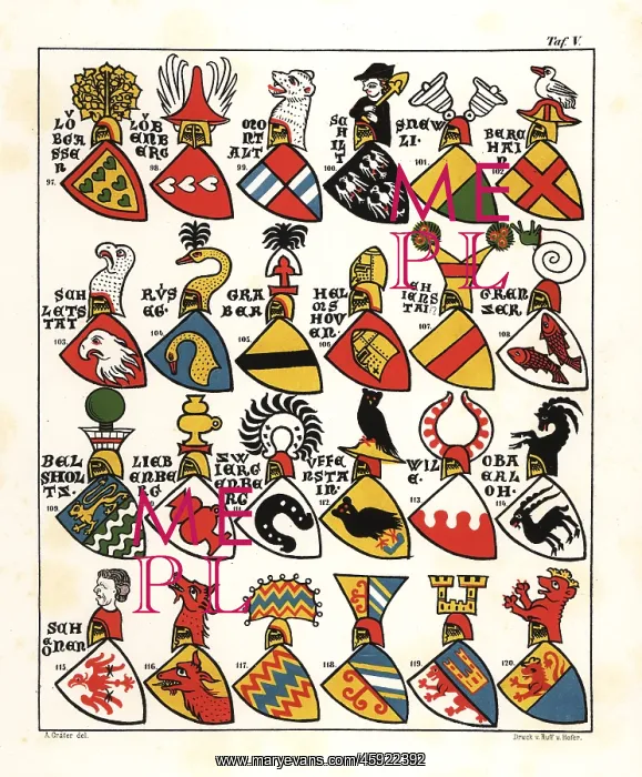 : Swiss coats of arms, c. 1340 : Swiss coats of arms, c. 1340