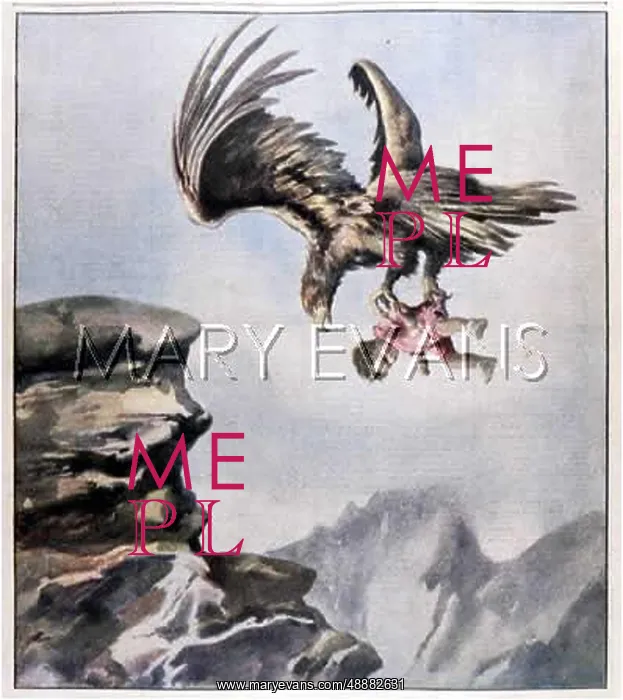 : SWISS EAGLE ABDUCTS : SWISS EAGLE ABDUCTS
