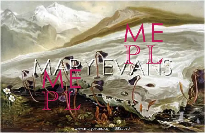: SWITZERLAND / ALPINE SCENE : SWITZERLAND / ALPINE SCENE