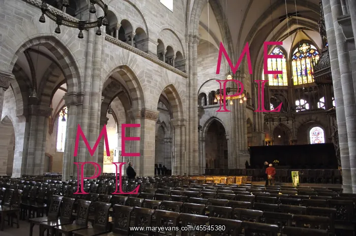  : SWITZERLAND. Basel. Cathedral. Gothic art. Architecture