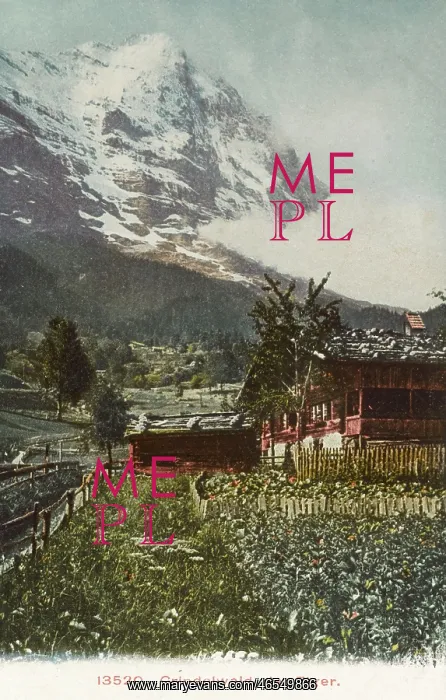  : Switzerland - The Eiger viewed from Grindelwald