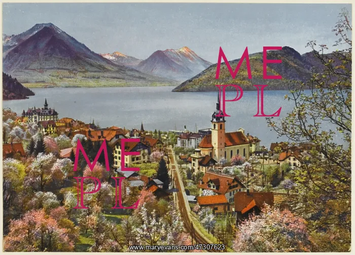 : SWITZERLAND / VITZNAU C20 : SWITZERLAND / VITZNAU C20
