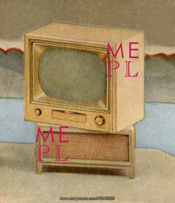  : Swiveling Television