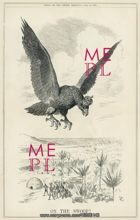 : On the Swoop : On the Swoop