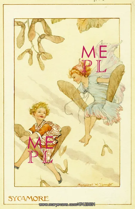  : Sycamore - Illustration from the book The Seed Fairies'~~
