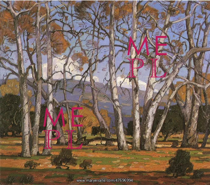  : Sycamore Meadow