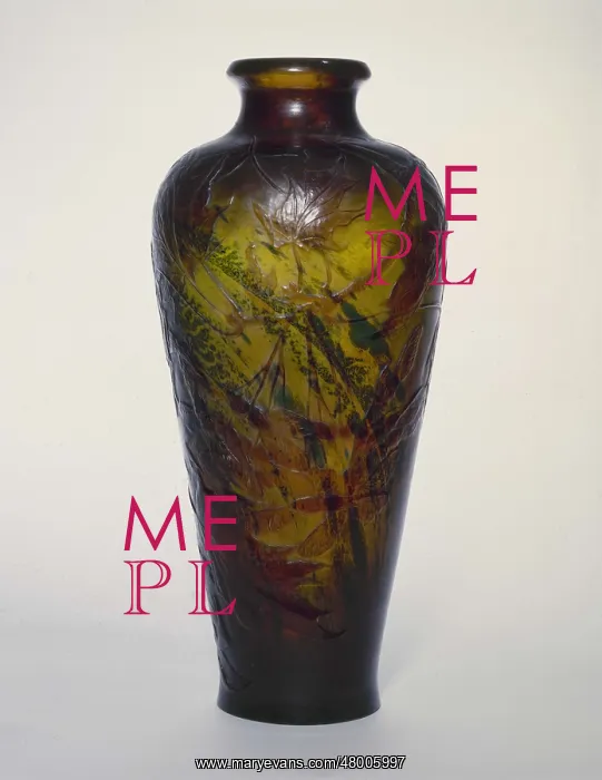: Sycamore vase in glass : Sycamore vase in glass