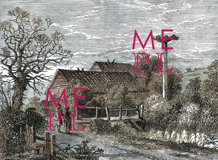  : SYDENHAM WELLS