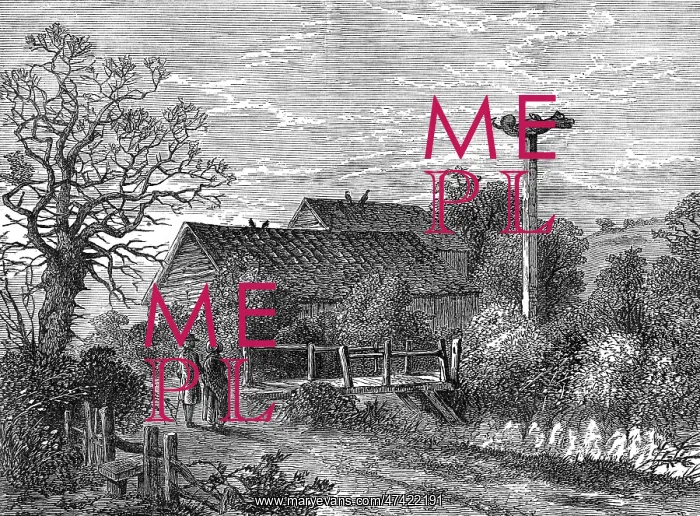  : SYDENHAM WELLS