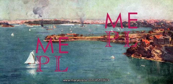 : Sydney Harbour : Sydney Harbour