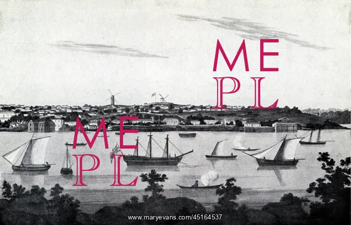: Sydney as Macquarie Found It : Sydney as Macquarie Found It