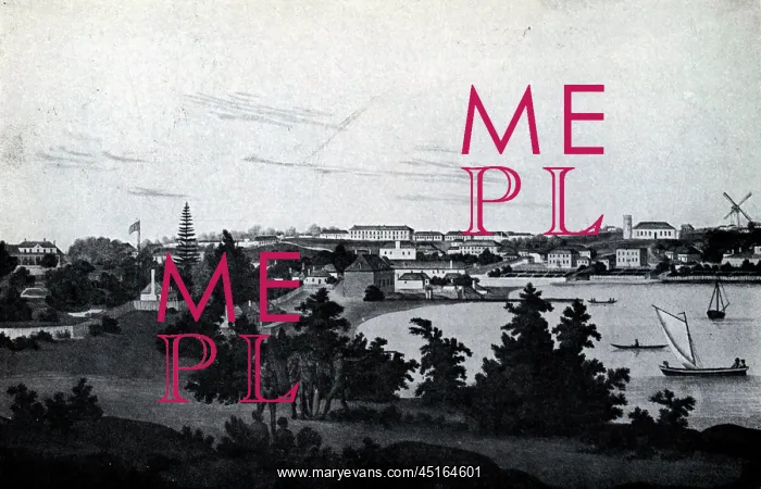 : Sydney as Macquarie Found It : Sydney as Macquarie Found It