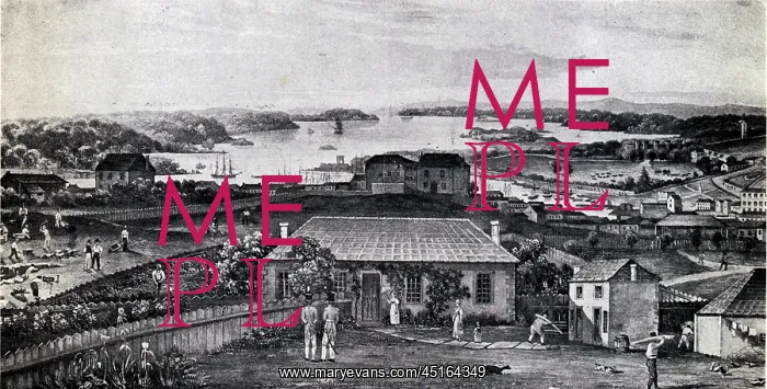 : Sydney as Macquarie Left It : Sydney as Macquarie Left It