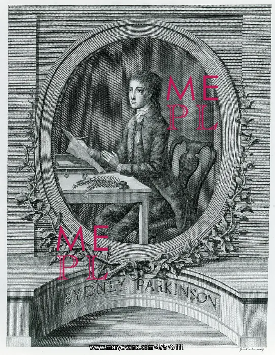 : Sydney Parkinson (1745-1771) : Sydney Parkinson (1745-1771)