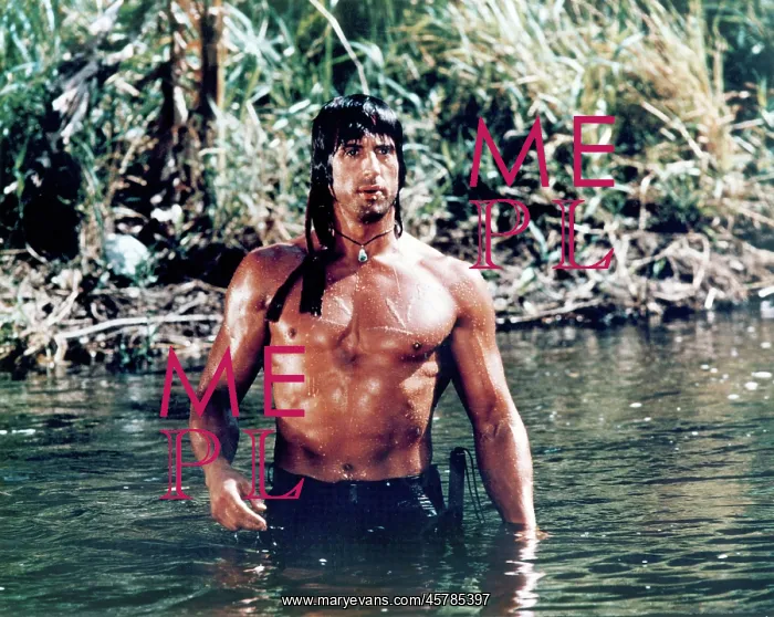 : Sylvester Stallone - Actor - Celebrity - Entertainment : Sylvester Stallone - Actor - Celebrity - Entertainment