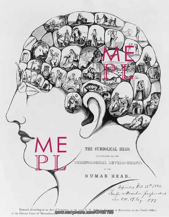 : The Symbolical head, illustrating phrenology : The Symbolical head, illustrating phrenology