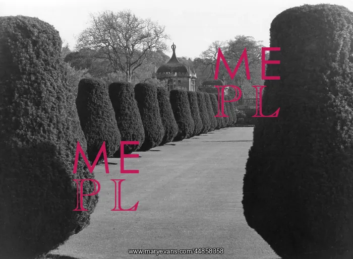 : SYMMETRICAL TOPIARY : SYMMETRICAL TOPIARY