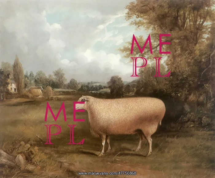  : Symmetry - A Prize Ram