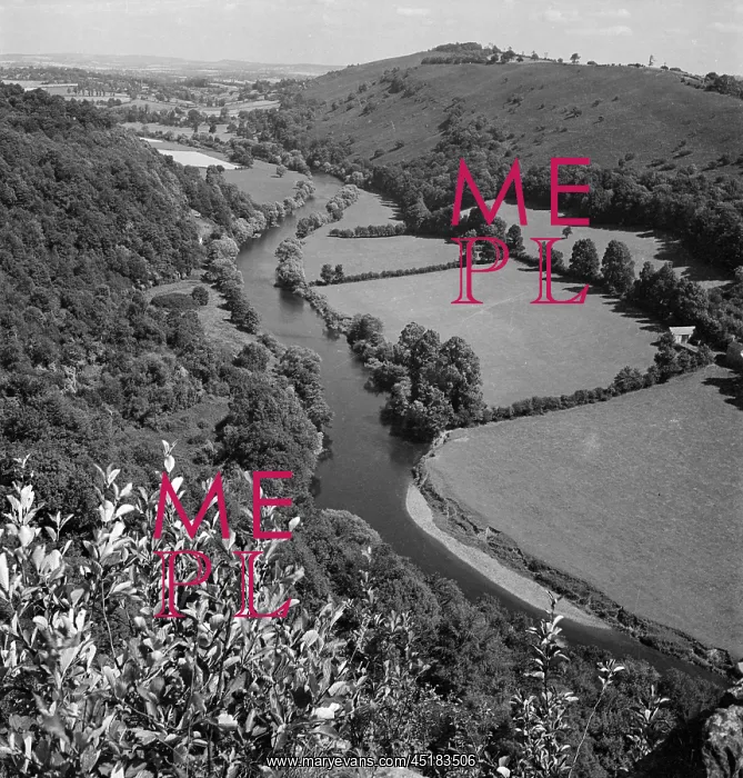 : Symonds Yat : Symonds Yat