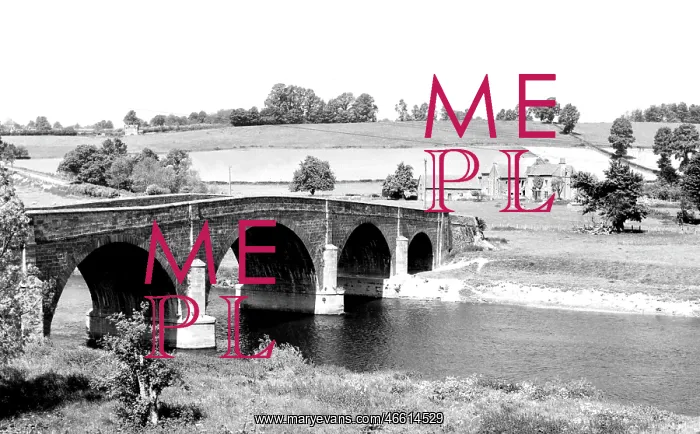  : Symonds Yat, Kerne Bridge c1965