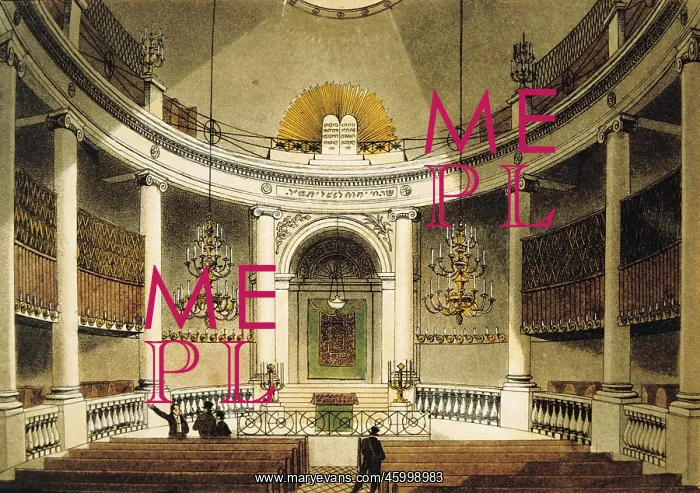  : The Synagogue of Vienna