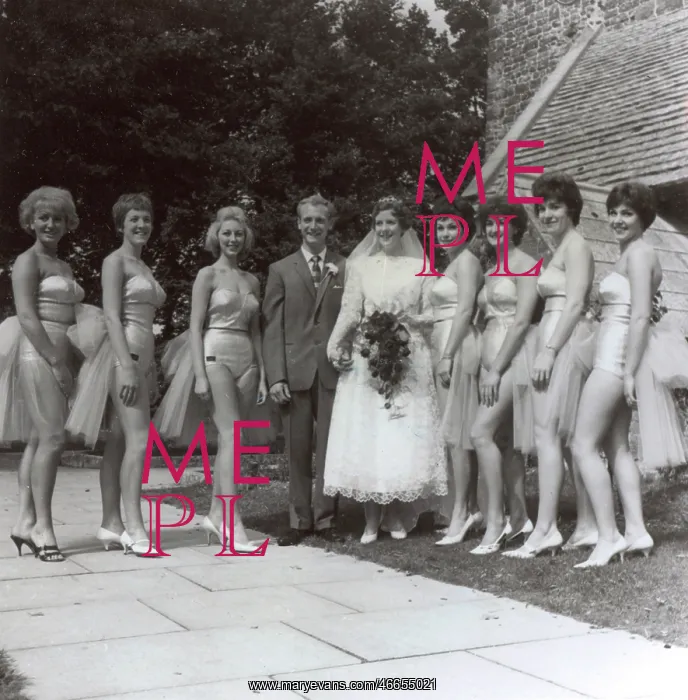 : Synchronised Swimming Wedding causes quite a stir : Synchronised Swimming Wedding causes quite a stir