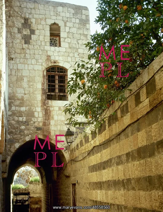 : Syria. Hama. The Azm Palace : Syria. Hama. The Azm Palace