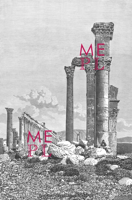 : SYRIA / PALMYA / PILLARS : SYRIA / PALMYA / PILLARS