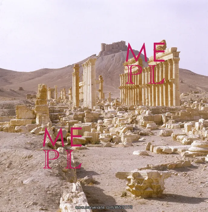 : SYRIA / PALMYRA / COLONNADE : SYRIA / PALMYRA / COLONNADE