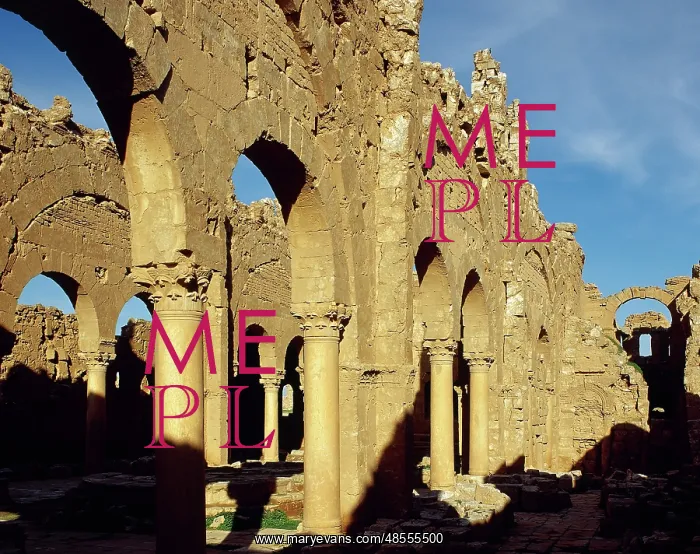 : Syria. Resafa. Archaeological site. Basilica of Saint Sergi : Syria. Resafa. Archaeological site. Basilica of Saint Sergi