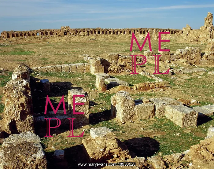 : Syria. Resafa. Archaeological site. Basilica of Saint Sergi : Syria. Resafa. Archaeological site. Basilica of Saint Sergi