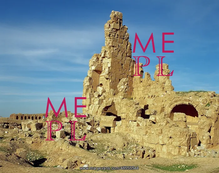 : Syria. Resafa. Archaeological site. Basilica of Saint Sergi : Syria. Resafa. Archaeological site. Basilica of Saint Sergi