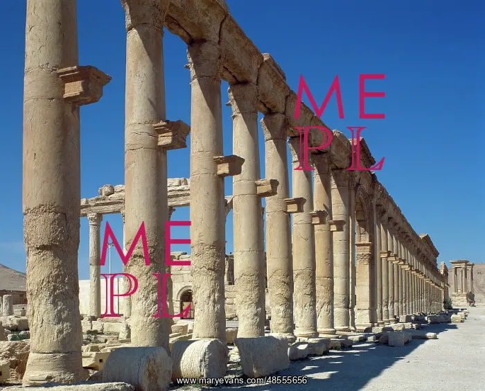 : Syria. Ruins of Palmyra. Middle East. Colonnade. 3rd century : Syria. Ruins of Palmyra. Middle East. Colonnade. 3rd century